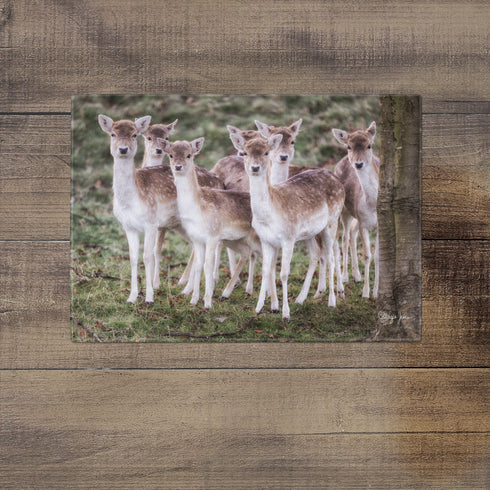The School Gang - Glass Worktop Saver